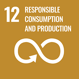 SDGs 12: Ensure sustainable consumption and production patterns